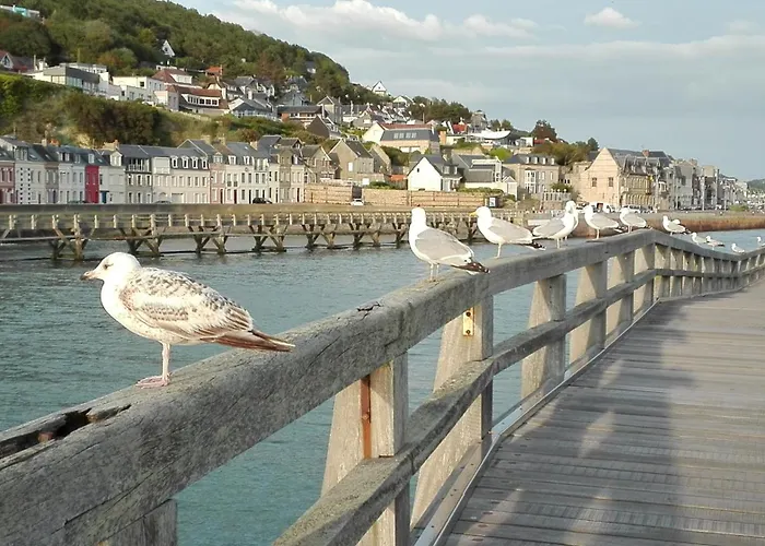 Le Nid De Goelands * Fécamp